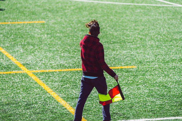 在质与量上 在质与量上