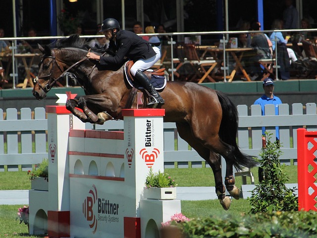 他在本场比 他在本场比