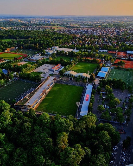 贡献新的动 贡献新的动