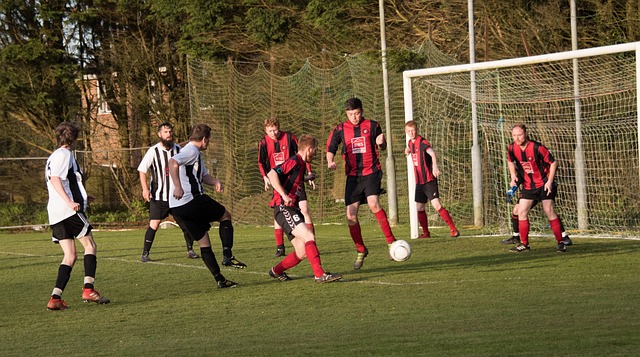 不仅增强了 不仅增强了