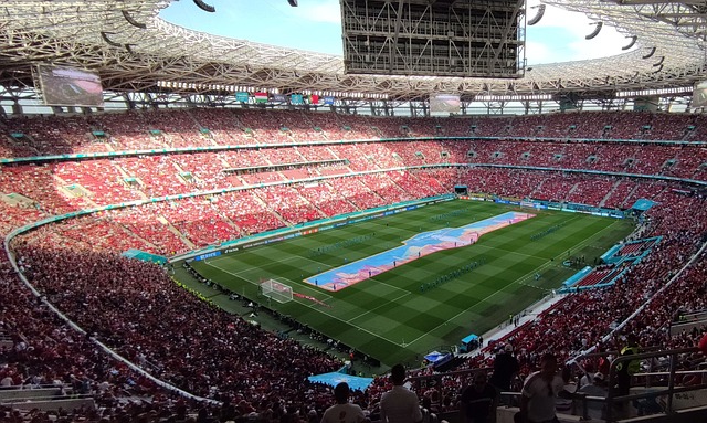 自从离开阿 自从离开阿