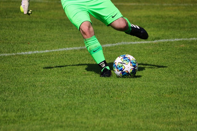 疑將為他贏 疑將為他贏