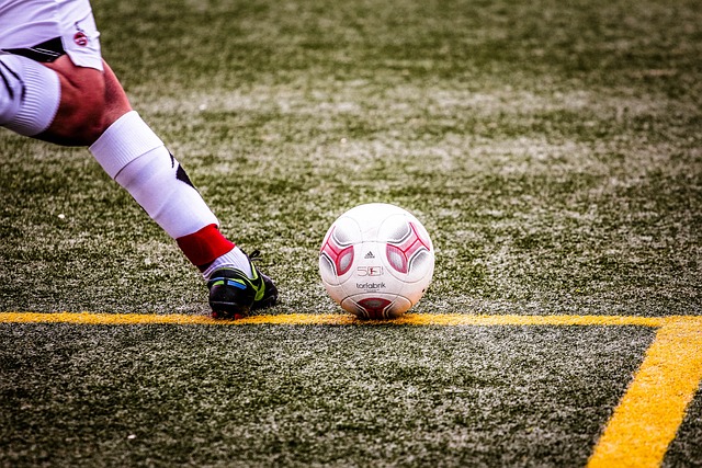 受大自然的 受大自然的