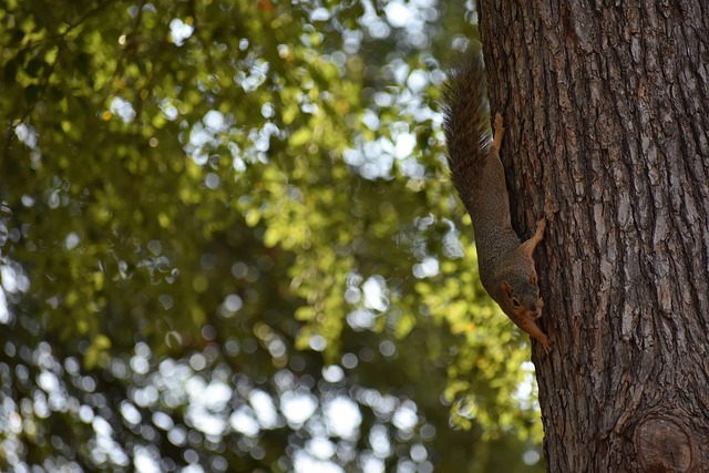 勇士42分大胜！库里13+3+6 巴特勒13+8，赛后格林和对方球员逐一拥抱.